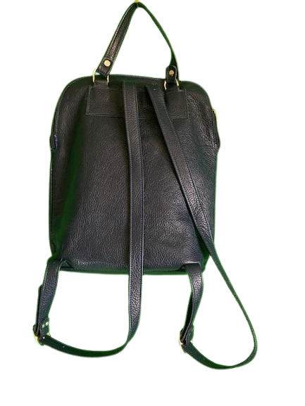 BACKPACK 1 - "BEAUTIFUL BLUES LADY"